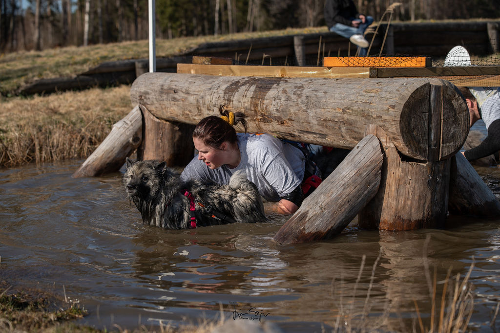 Muddy Paws biathlon April 2022