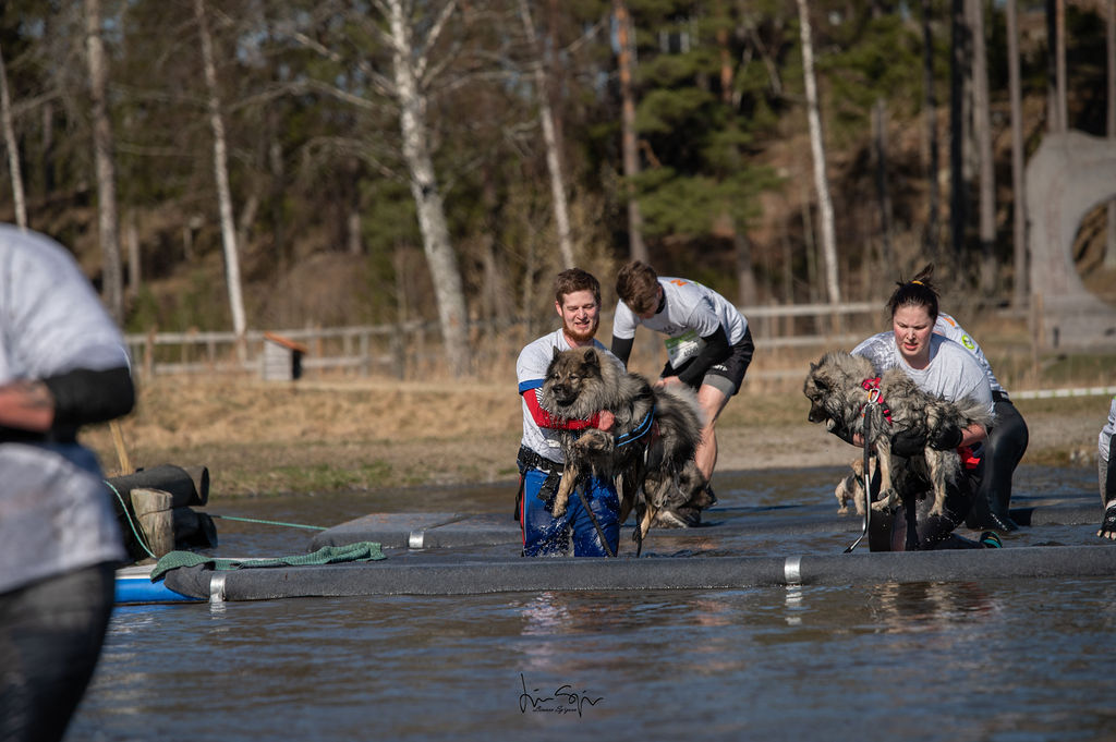 Muddy Paws biathlon April 2022